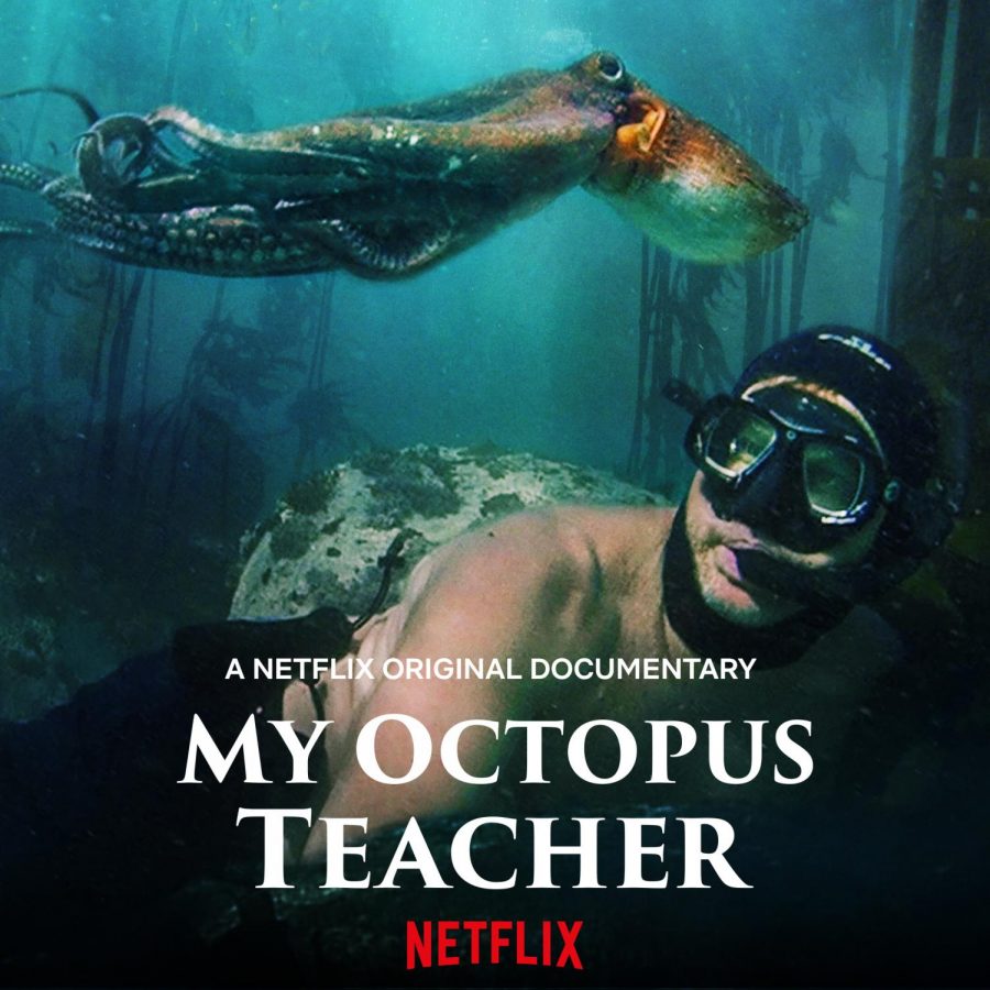 Netflix documentary