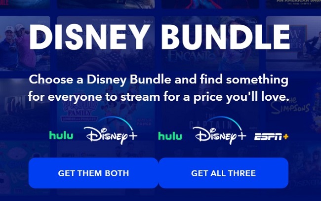 Disney Plus Bundle